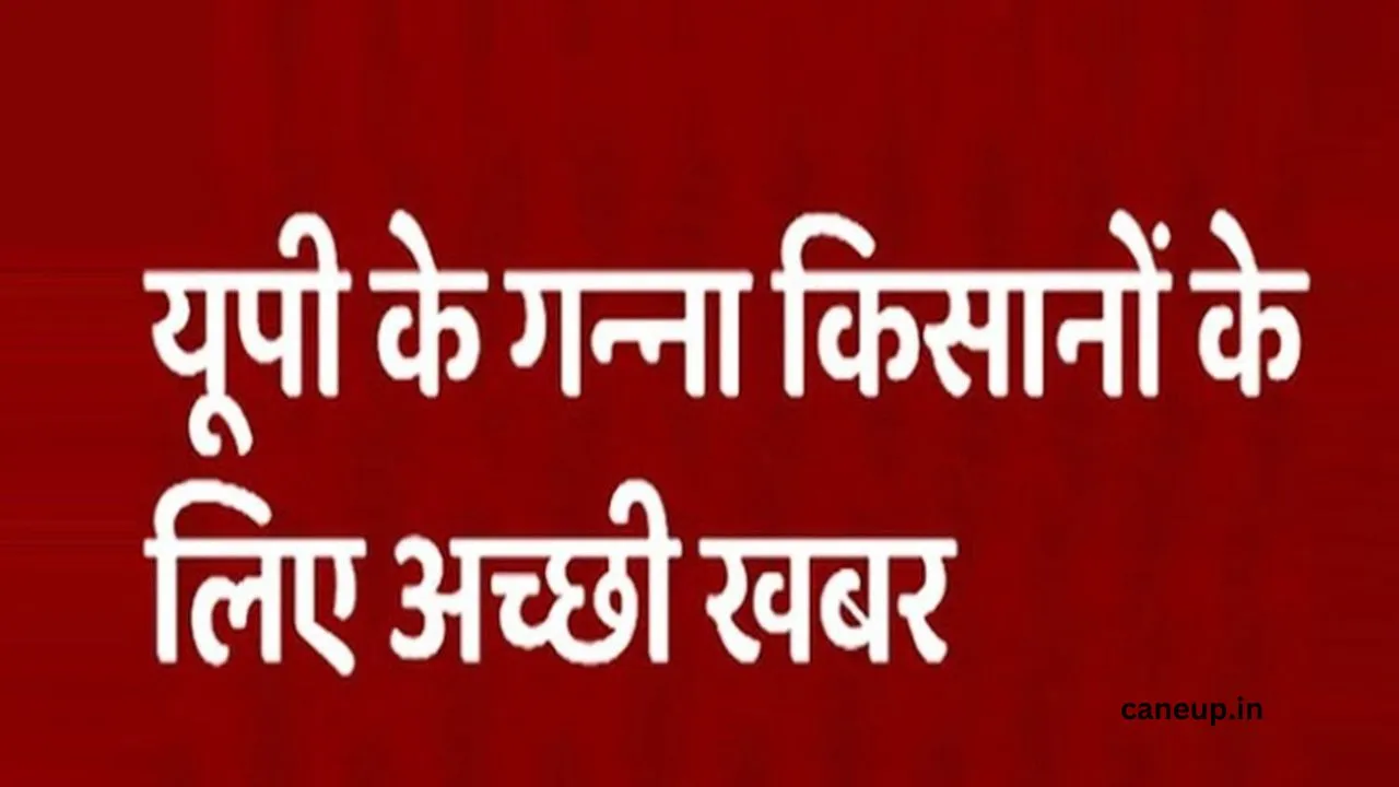 Sugarcane Price :जानिए उत्तर प्रदेश में गन्ने का भाव क्या रहेगा ?