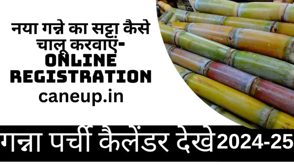 नया गन्ने का सट्टा कैसे चालू करवाएं-Online Registration 2024-25